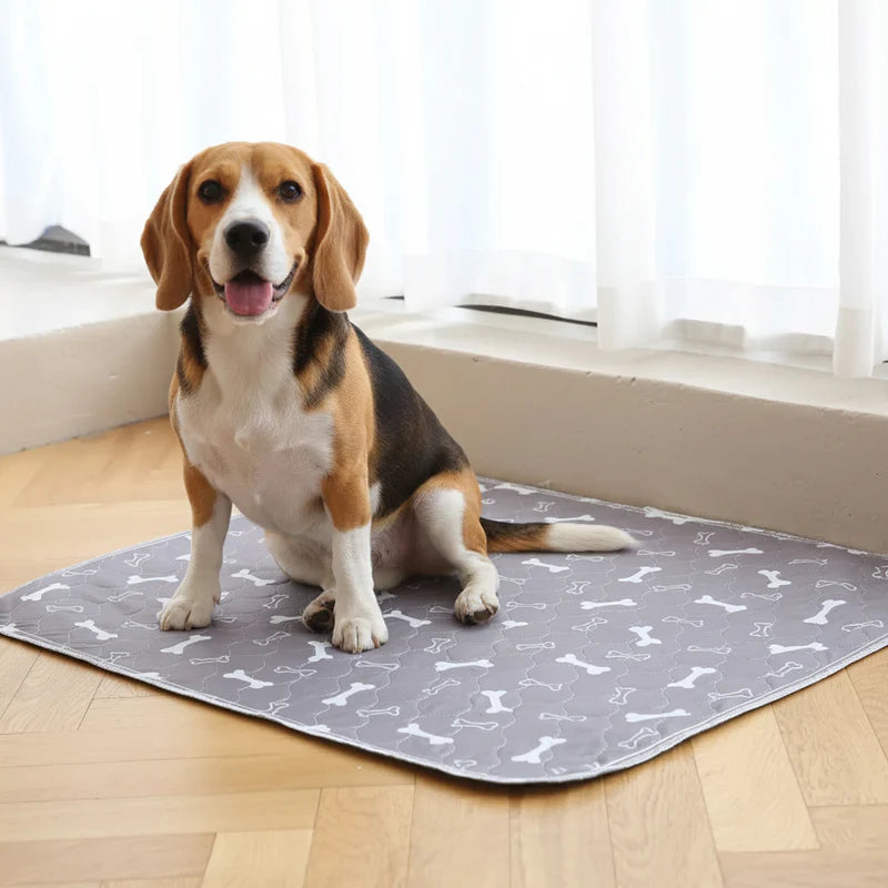 Dein Hund weiß genau wo er hin muss.