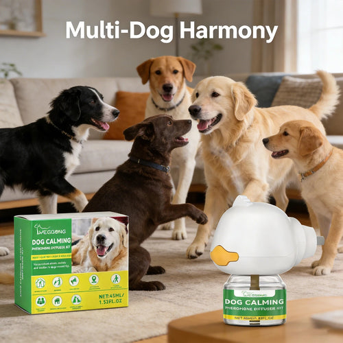Hunde Diffusor
