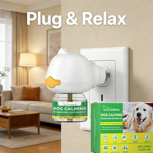 Hunde Diffusor