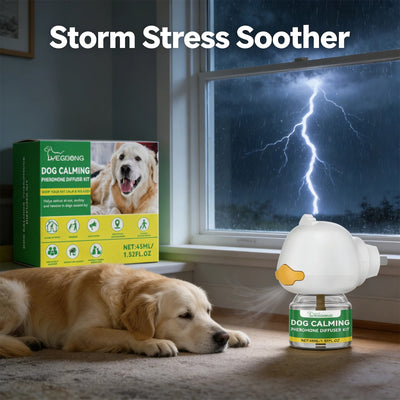 Hunde Diffusor